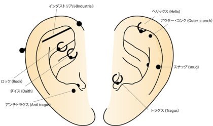 耳軟骨ピアス アネシスピアスドットコム 名古屋 穴あけ 舌 へそ ボディピアス 耳軟骨ピアス アネシスピアスドットコム 名古屋 穴あけ 舌 へそ ボディピアス